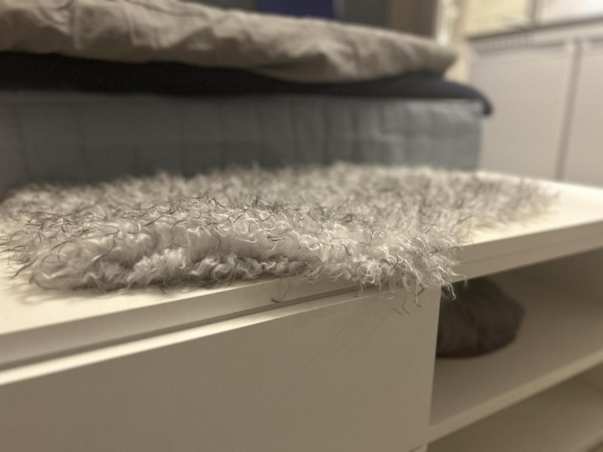 New Studio Apartment In Tromso - Aurora Hotspot Екстер'єр фото